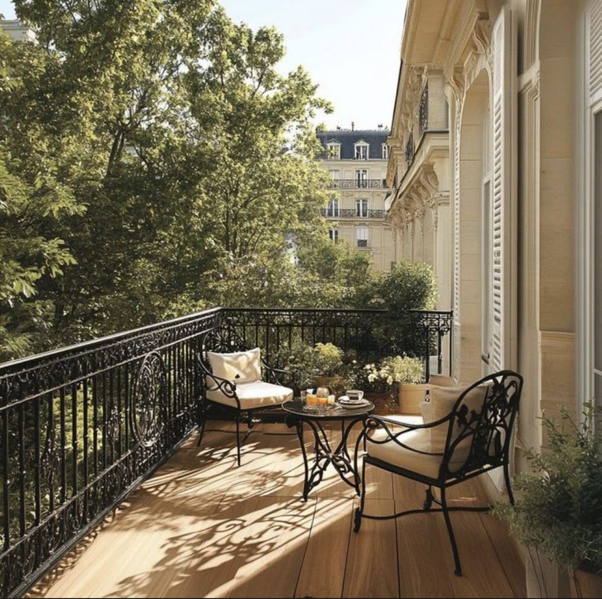 Veranda Chronicles